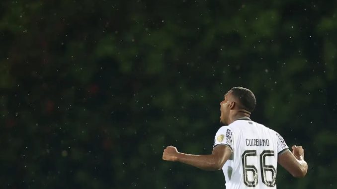 botafogo-398hfk